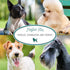 Nature's Specialties Almond Crisp Ultra Concentrated Dog Shampoo, 16 oz - Makes up to 4 Gallons, Texturizing