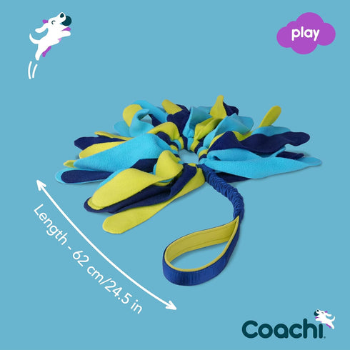 Coachi Tuggi Spider Interactive Dog Toy for Tug of War, Strong Comfortable Bungee Handle, Ideal for Puppies