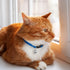 24pcs Cat Bells & Dog Collar Bells with Keyrings, Training Jingle Bell Collar Pendant Pet Accessories