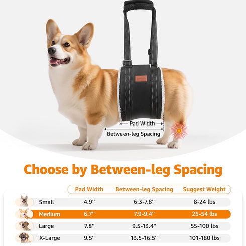 LOOBANI Portable Dog Sling for Back Legs - Hip Support Harness for Canine Aid and Rehabilitation
