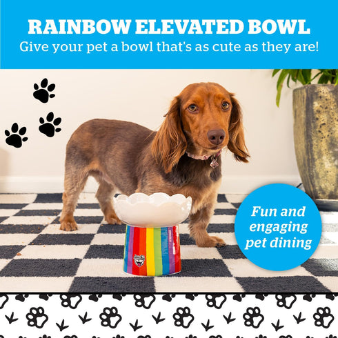 BigMouth Inc Rainbow Elevated Cat Bowl - Raised Cat Bowl - Lifted Pet Food, Water Bowl - Ceramic Cat Feeder - Feeding Bowls for Small Dog