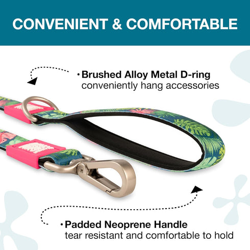 Max & Molly Classic 4 ft Dog Leash - Strong, Padded, Waterproof - Stylish Patterns for Boy & Girl Dogs - Durable, Lightweight, Comfortable for Small Dogs - Tropical, Small