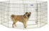 MidWest Homes for Pets Foldable Metal Dog Exercise Pen, 24'W x 36'H, Gold Zinc with Door