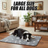 Dovbuqu 30x30cm 3 Puppy Pad with Pheromones, Training Pads for Dogs, Blue Bone Design, Includes Random Color Bell