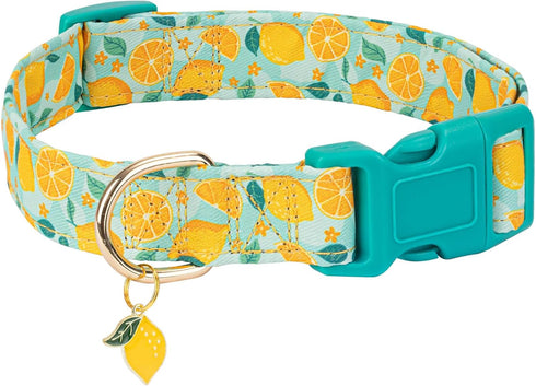 Adjustable Lightweight Cute Dog Collar for Girl Female Boy Dogs, Soft Summer Collar with Lemon Design for Small Medium