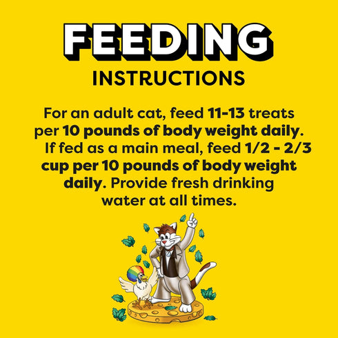 16 oz. Temptations Cat Treats, Classic Crunchy and Soft Cat Treats, Catnip Fever Flavor, Catnip Treats, Tub
