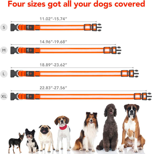 LED Dog Collar, Light Up Adjustable USB Rechargeable Safety Collar for Small Dogs (Small, Orange)