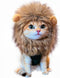 Lion Mane Wig for Cat Costume, Adjustable Washable Fancy Hair Dress for Halloween, Christmas, Easter (Brown)