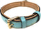 Medium Size Leather Dog Collar - Turquoise with Beige Padding