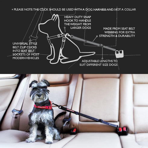 CLICK Dog Seat Belt for Car by EzyDog - Adjustable Heavy Duty Nylon Attachment