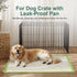 50Counts, 24"X36" 4 6Layers Dog Pee Pads Disposable Pee Pads for Dogs with Sticky Corners, Leak-Proof Thicken Puppy Pee