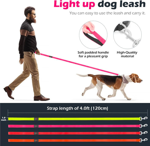 LED Dog Leash, Light Up 4 Feet Micro USB Rechargeable Nylon Webbing Glow Safety Standard Leash, Pink