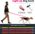 LED Dog Leash, Light Up 4 Feet Micro USB Rechargeable Nylon Webbing Glow Safety Standard Leash, Pink