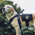 Service Dog Patch, "Not All Disabilities are Visible" Embroidery for Harness Vest