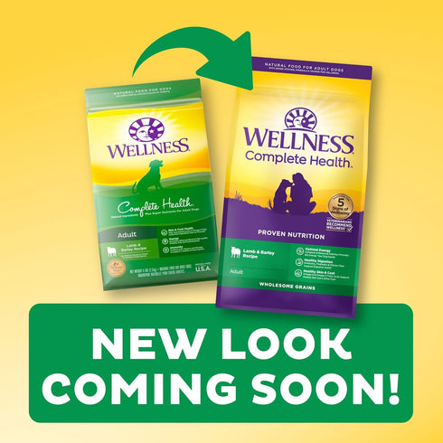 Wellness Complete Health Dry Dog Food with Grains, Natural Ingredients, Lamb & Barley, 5-Pound Bag for Adult Dogs