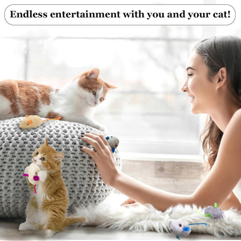 SunGrow Cat Catnip Mice Toys, Furry Plush, 2”, 10 Pcs per Pack, Interactive, Multicolor