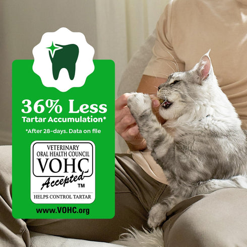 Veterinarian-Recommended 4.6 oz. Greenies Cat Treats, Feline Adult Natural Dental Cat Treats, Oven Roasted Chicken
