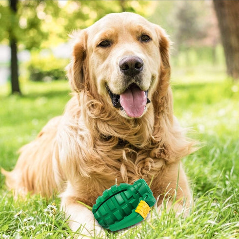 Dog Toys for Aggressive Chewers, Indestructible Heavy Duty Chew Toy for Large Dogs (Green)
