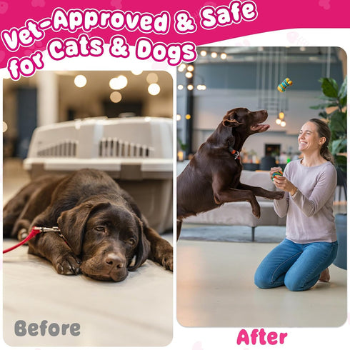 Cat & Dog Urinary Tract Support Drops with Cranberry Kidney & Bladder Health Natural Supplement for Pet Wellness