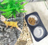 Crested Gecko Feeding Ledge with 30 pcs 0.5oz Food Cups - Reptile Food Bowls and Water Dish Accessories
