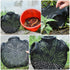 12.20X10.62X3.93In EEL Trap Crab Trap Portable Lobster Bait Fishing Net Lightweight Breathable Easy Use