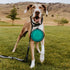 Collapsible Dog Bowls - 2 Pack Large Size for Dogs, Portable Water Bowl for Outdoor Hiking & Traveling