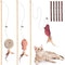 Cat Toys for Indoor Cats - 3pcs 16 Inch Natural Wood Teaser Wand with Refills, Bonus 5pcs Catnip Sticks for Play