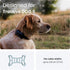 x2 6 Tractive Rubber Clip Mount for Tractive Dog GPS Tracker (Mint)