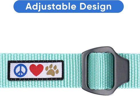 Pawtitas Dog Seat Belt, Pet Safety Seat Belt with Adjustable Strap for Small to Large Dogs, Teal Car Seat Belt for Dogs