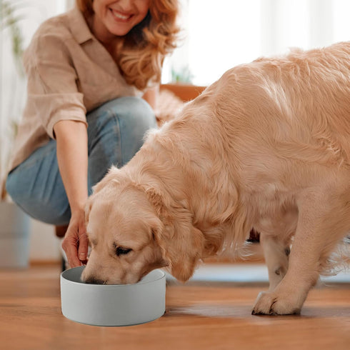 6'' Ceramic Dog Bowl - 30Oz Classic Dog Food and Water Bowl for Small and Medium Dogs, Heavy Duty Non-Slip Dish, Grey
