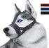 Head Strap Dog Muzzle Prevent from Taking Off by Paws for Small, Medium, and Large Dogs (XL/Black)