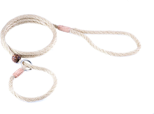 Alvalley Nylon Dog Training Leash with Stopper - Adjustable Rope with Braided Leather Ends - Suitable for Walking,