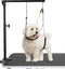 Adjustable Dog Grooming Arms with Anti-Slip Metal Clamp, Portable Arm for Table with 1 Loop Noose for Dogs/Cats
