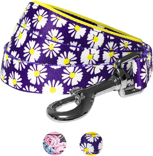 Blueberry Pet 2 Pattern Loving Daisy Prints Dog Leash - Soft Comfortable Handle, 5 ft x 5/8", for Small Dogs