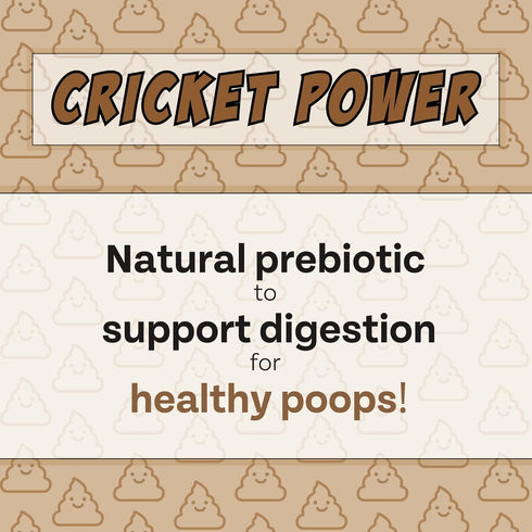 Peanut Butter, Cricket, Pumpkin Gut Health Dog Treats - 5oz, 2-Pack | Natural Prebiotic, Made in USA