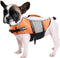 Lightweight Dog Life Jacket Swimming Vest, High Reflective Pet Lifesaver with Lift Handle, Leash Ring - Orange, L