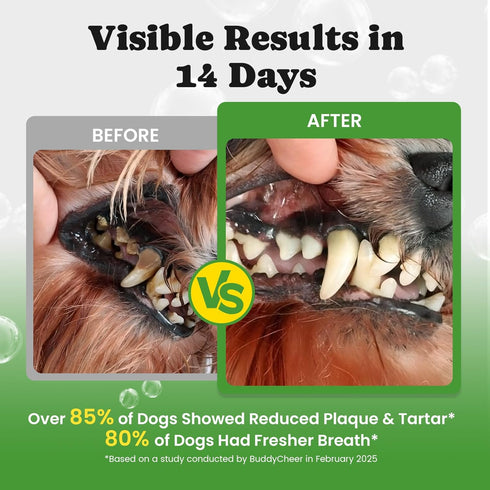 60-Day Dog Teeth Cleaning Powder, Dog Dental Powder and Cats Breath Freshener, Plaque Off Pet Tooth Cleaning lab co