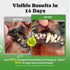 60-Day Dog Teeth Cleaning Powder, Dog Dental Powder and Cats Breath Freshener, Plaque Off Pet Tooth Cleaning lab co