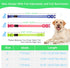 YFbrite Light Up Dog Collar, Full Adjustable Rechargeable LED Safety Glowing Collar for Night (Design 2-Green, Large)