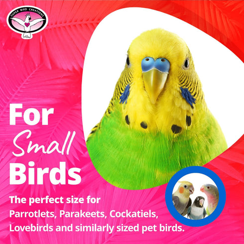 Super Bird Creations SB586 X-mas Star Bird Toy, Small Size