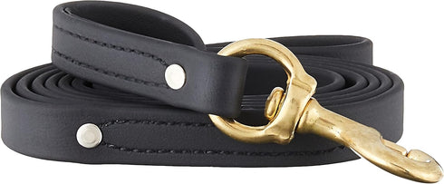 Ray Allen Mfg 6-Feet x 3/4-Inch Signature K9 Biothane Leash, Black
