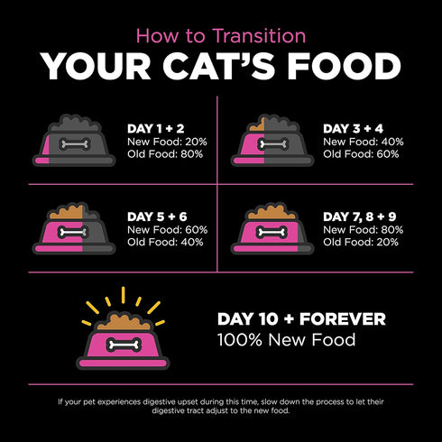 Go! Solutions Skin + Coat Care Dry Cat Food, Chicken Recipe with Grains, 8 lb, for All Life Stages