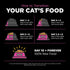 Go! Solutions Skin + Coat Care Dry Cat Food, Chicken Recipe with Grains, 8 lb, for All Life Stages
