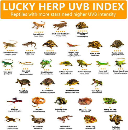 LUCKY HERP 15inch 14W T8 UVB 10.0 Reptile Light, UVA UVB Bulb, Fluorescent Lamp for Reptiles and Amphibians
