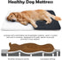 JoicyCo Dark Gray Soft Dog Crate Pad Mat for Medium/Large Dogs, Non-Slip Bottom Washable