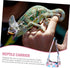 1pc Pet Backpack Reptile Carrier Bag, Portable Hamster Carrier, for Hedgehog and Lizard