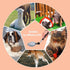 Generic Pet Urine Stick - Pet Pregnancy Urine Test | Dog Wellness Screening Tool, Long Handled Dog Pee Catcher Urine