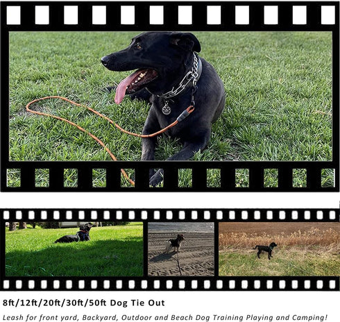 BTINESFUL Dog Tie Out Check Cord, Long Tether Rope Leash for Large Medium Small Dogs, 8ft 12ft 20ft 30ft 50ft 75ft