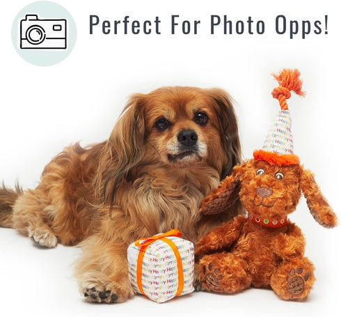 Pet London Happy Birthday Dog Toy - 2 Toys in 1, Plush Dog and Detachable Present, Squeaky Gift for Dog