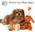 Pet London Happy Birthday Dog Toy - 2 Toys in 1, Plush Dog and Detachable Present, Squeaky Gift for Dog
